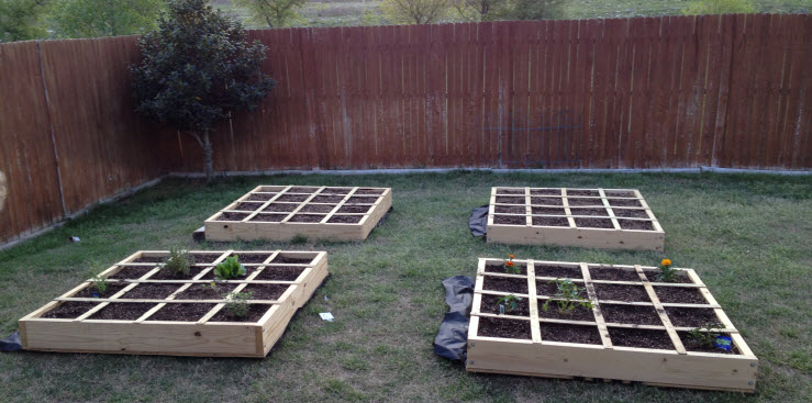 My First Squarefoot Garden (Fort Worth, Texas)